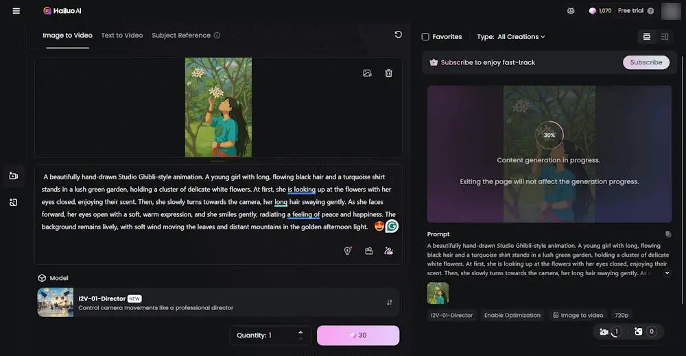 Type prompt to generate video Hailuo AI